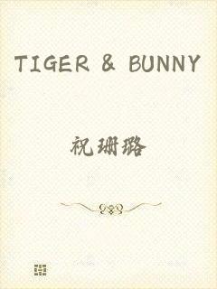 TIGER & BUNNY